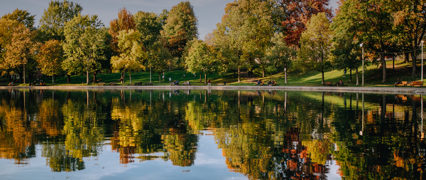 Reflet d'arbres sur un lac